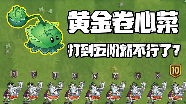 植物大战僵尸：五阶黄金卷心菜单挑不行？但群挑他第一名！