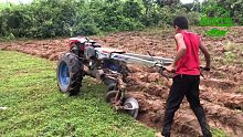 外国农村小孩耕开拖拉机犁田，这技术比大人还厉害农业发展还是需要年轻一代人，大家觉得呢？