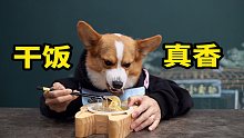 這是狗成精了，還是人現(xiàn)原形了【小短腿Duby】