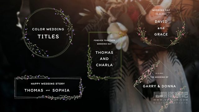 fcpx插件 5组唯美优雅彩色婚礼日期人名标题模板 Color Wedding Titles