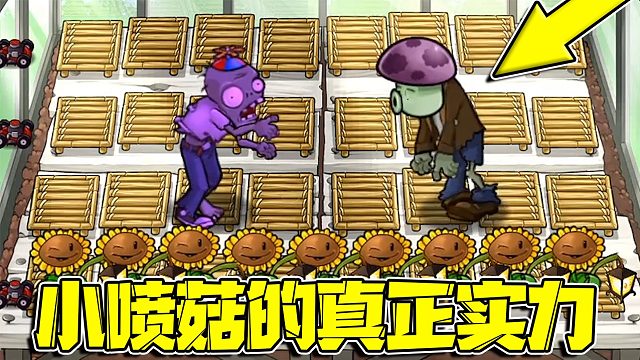 植物大战僵尸：小喷菇僵尸的真正实力已经暴露！气球僵尸根本不够看！