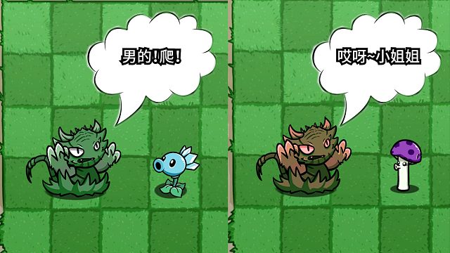 植物大战僵尸：难道就我好奇野虎草分辨雌雄的原因吗？