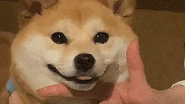 极限竞速 地平线 5-片段2