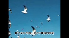 三體環(huán)保主義者之二