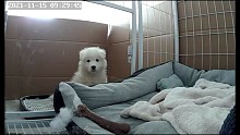日常