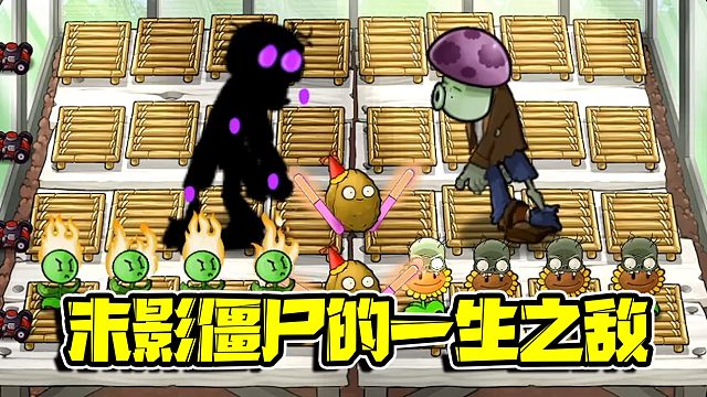 植物大战僵尸：二连胜的末影僵尸遇见了他的一生之敌！这就难搞了