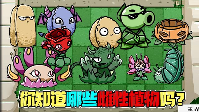 植物大战僵尸：BT版里有多少雌性植物？看完这个视频你就知道了