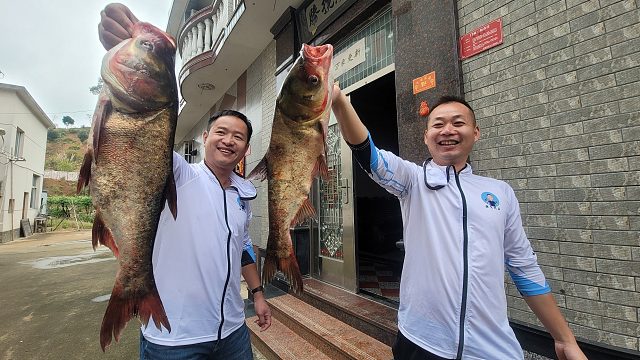 小明盘水库老板，一网下去捕了几十斤大鱼，老板在一旁默默流泪