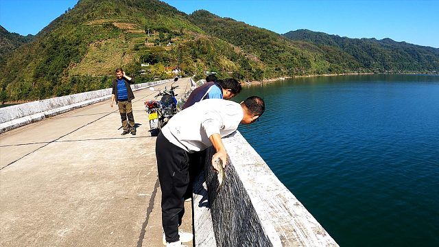 桥下全是巨型白条，村民好奇围观，不料钓起一看2个巴掌长惊到了