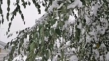 东北的大雪