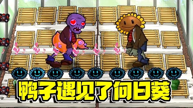 植物大战僵尸：当一个会游泳的鸭子遇见了向日葵后会擦出怎样的火花呢？