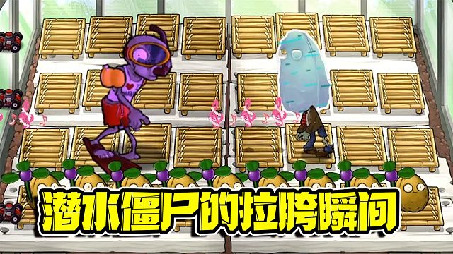 植物大战僵尸：僵尸游泳队派出了的得力干将！可惜跑太快出了意外！