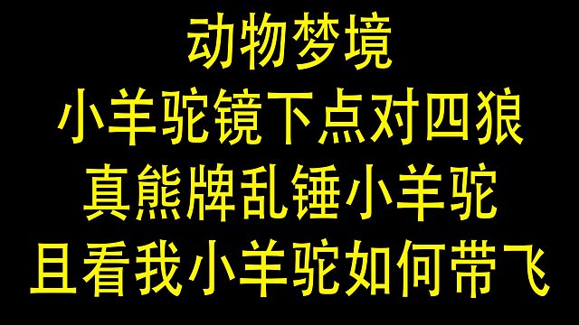 【狼人杀】小羊驼也有一颗对抗狼人的心