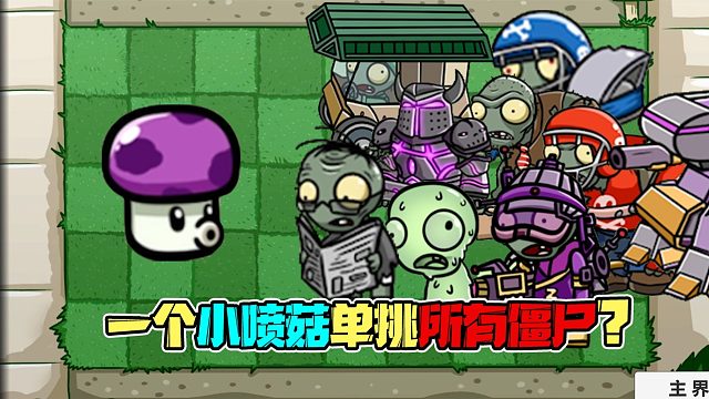 植物大战僵尸：一个小喷菇单挑所有僵尸？这就是小喷菇的魅力吗？
