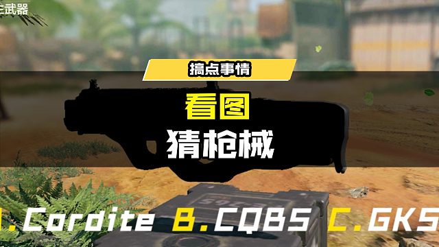 #使命召唤手游 看图猜枪械，想看瘦普写真的战士，把最后一题的答案打在评论区哦！