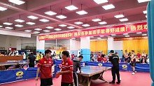 广东省友好城市乒乓球混合团体赛