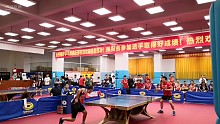 广东省友好城市乒乓球混合团体赛