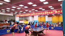 广东省友好城市乒乓球混合团体赛