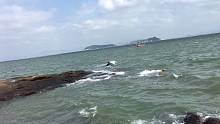 大海