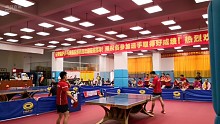 广东省友好城市乒乓球混合团体赛