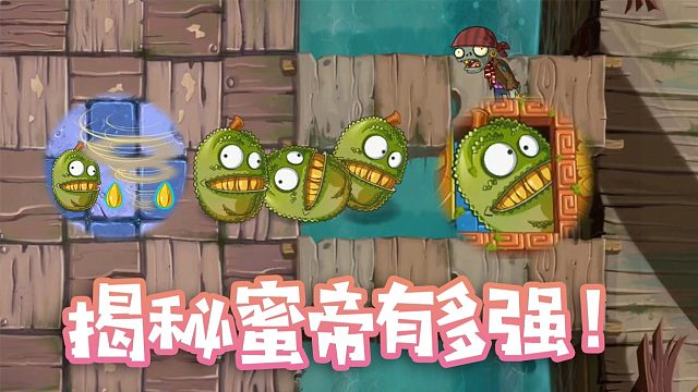 植物大战僵尸：PVZ唯一红卡植物？小蛙“揭秘”蜜帝有多强！