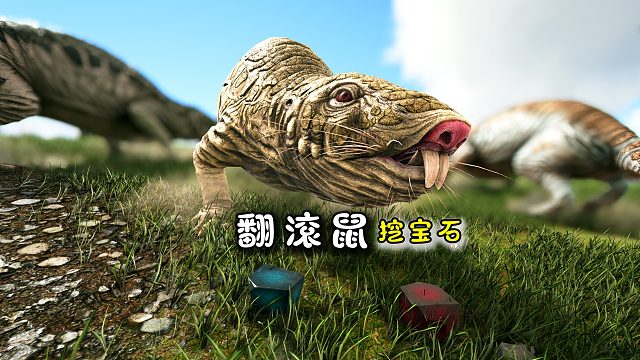 方舟213畸变：翻滚鼠挖红宝石超强，就是挖完了不让我捡很气人！