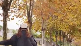 花，生五瓣。一瓣謝春；一瓣艷夏；一瓣落秋；一瓣謝冬；一瓣念這不。時光再美，怎如初見