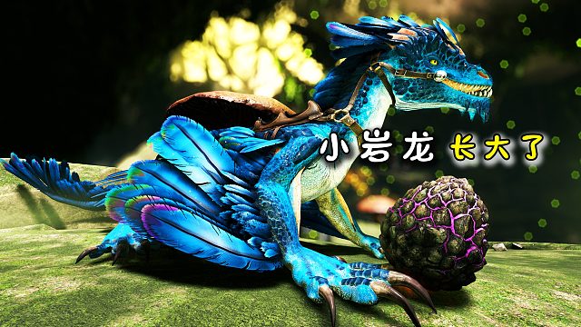 方舟214畸变：小岩龙长大了，是时候在六号世界一展身手了！