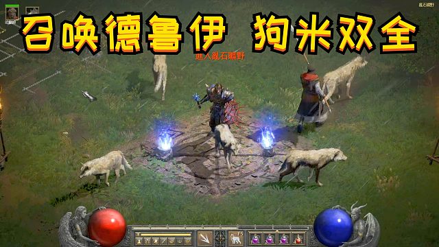 暗黑2重制召唤德，这回狗米双全了，属于是