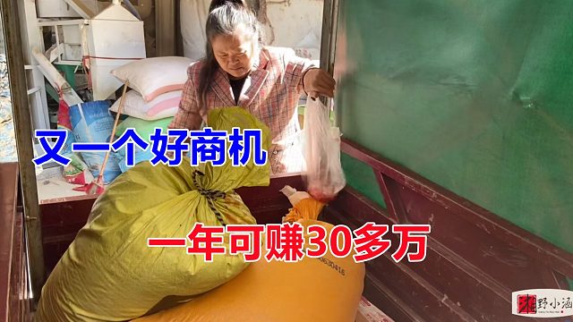 又一个好商机，年入30多万，几万块买台机器，周边生意被她抢光！