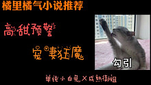 【夢(mèng)夢(mèng)】橘里橘氣小說推薦！一邊叫姐姐，一邊讓姐姐……