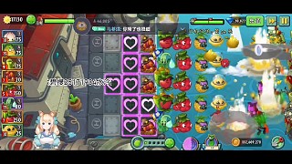 五樹根一球十卡無土栽培