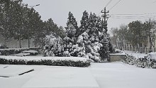 雪