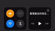 埃及猫噗噗