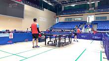 乒乓球直播