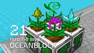 OceanBlock《Ep21 各种神秘作物》我的世界多模组海岛生存实况视频 安逸菌解说