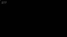 8090经典粤语歌大家姐