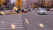 城市落叶成都