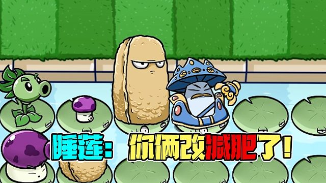 植物大战僵尸：关于睡莲你可能不知道的几个冷知识！