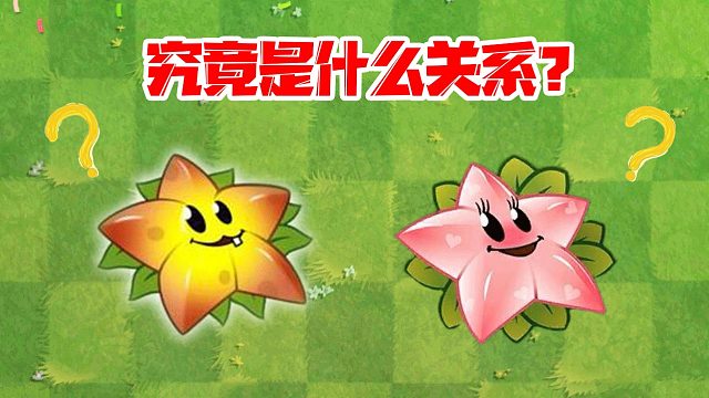 植物大战僵尸：1437大帝星星果和天使星星果究竟是什么关系？