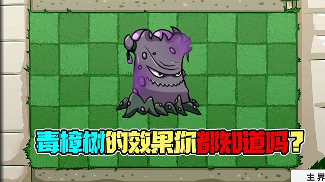 植物大战僵尸：毒樟木效果具体如何？是否值这个价看完你就知道啦