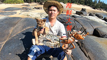 阿平带着小狗赶海收获真不错，之后在海边烤起了美味的海鲜大餐