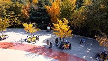 石家庄海山公园是个遛娃散步的好地方！秋天的景色好美！ #石家庄游玩 #深秋的银杏林 