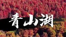 杭州的秋天不止于银杏的黄，还有临安青山湖水上森林一片红#航拍杭州#青山湖水上森林#最美水衫