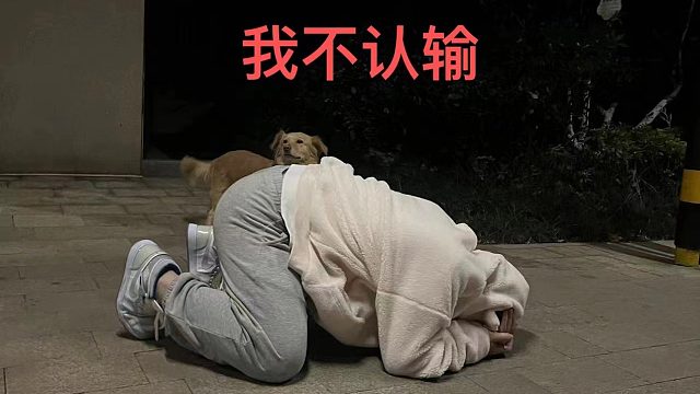 高級群那幫鬼才