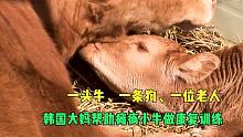 勇敢牛牛，不怕不困難，你是牛牛你要勇敢