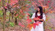 #創(chuàng)作靈感 火紅的楓葉，訴說著深秋的凄美……#落葉知秋#秋天#深秋#紅葉#成都周邊游#紅楓樹#一葉知