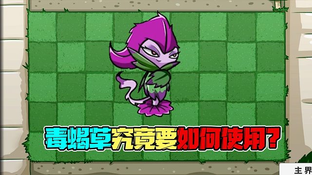 植物大战僵尸：新植物毒蝎草应该如何使用？效果究竟如何？