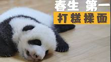 2020級熊貓成長日志 | 小“戰(zhàn)神”是如何養(yǎng)成的？
