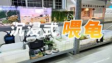 現(xiàn)在整個龜房是你的了，來沉浸式感受喂龜?shù)臉啡ぐ桑?/></span><div   id=